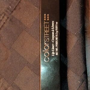 ✨Color Street Lip Liner✨ "Darling"